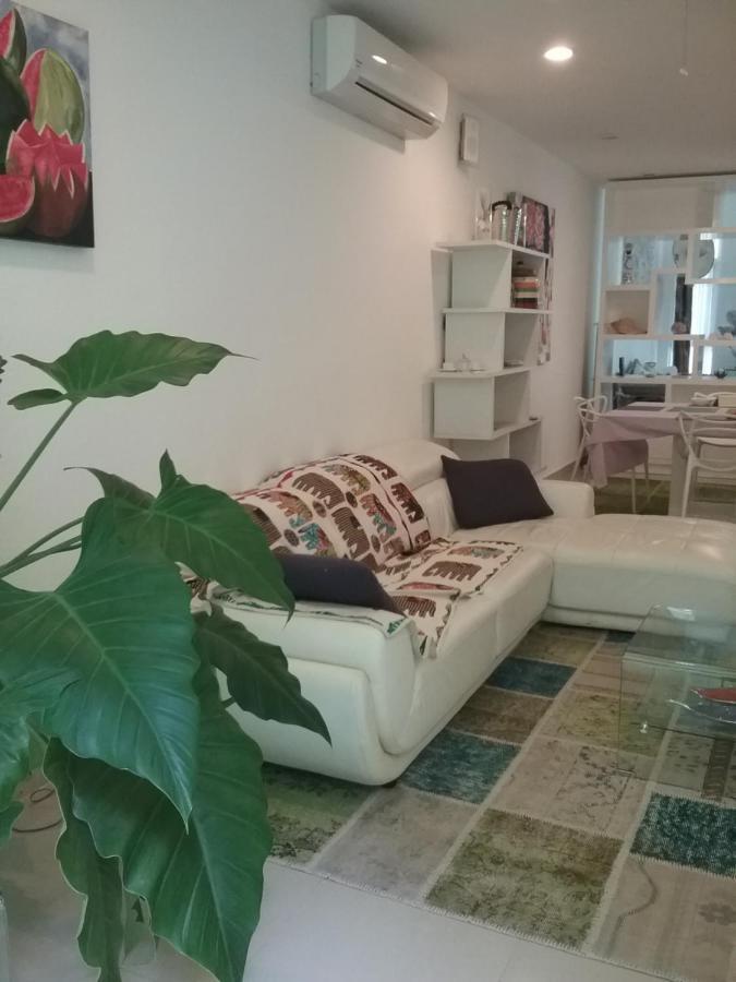 مبيت وإفطار بلايا ديل كارمن Casa Rioja Playacar المظهر الخارجي الصورة
